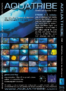 Aquatribe DVD SHARKS, COLORS, SHAPES ~ episode #02