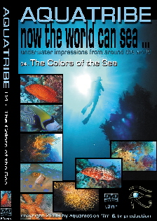 CLICK IMAGE - Aquatribe DVD  04 - THE COLORS OF THE SEA 